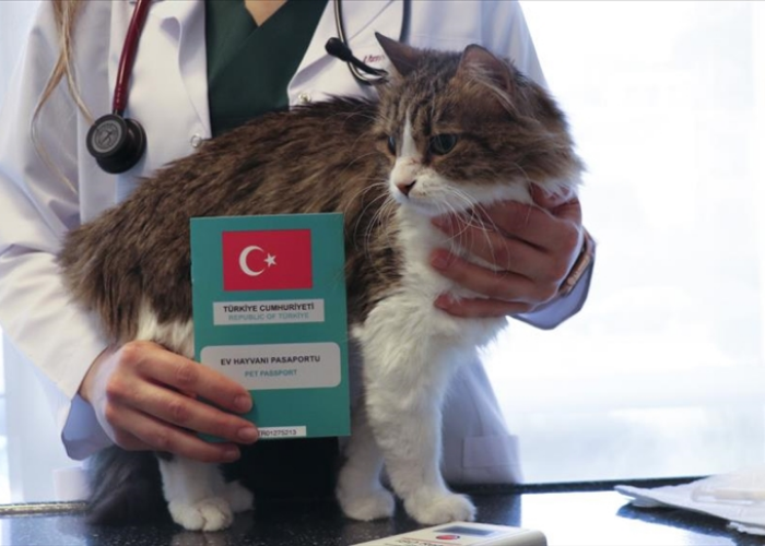 Hizmetlerimiz adsız tasarım (69)
